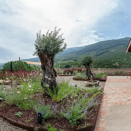 La Garza Y La Paloma * Navaconcejo