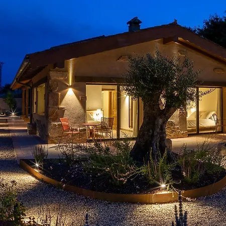 La Garza Y La Paloma Navaconcejo