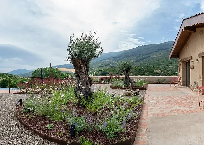 La Garza Y La Paloma * Наваконсехо