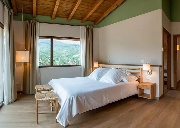 La Garza Y La Paloma