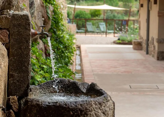 La Garza Y La Paloma Navaconcejo